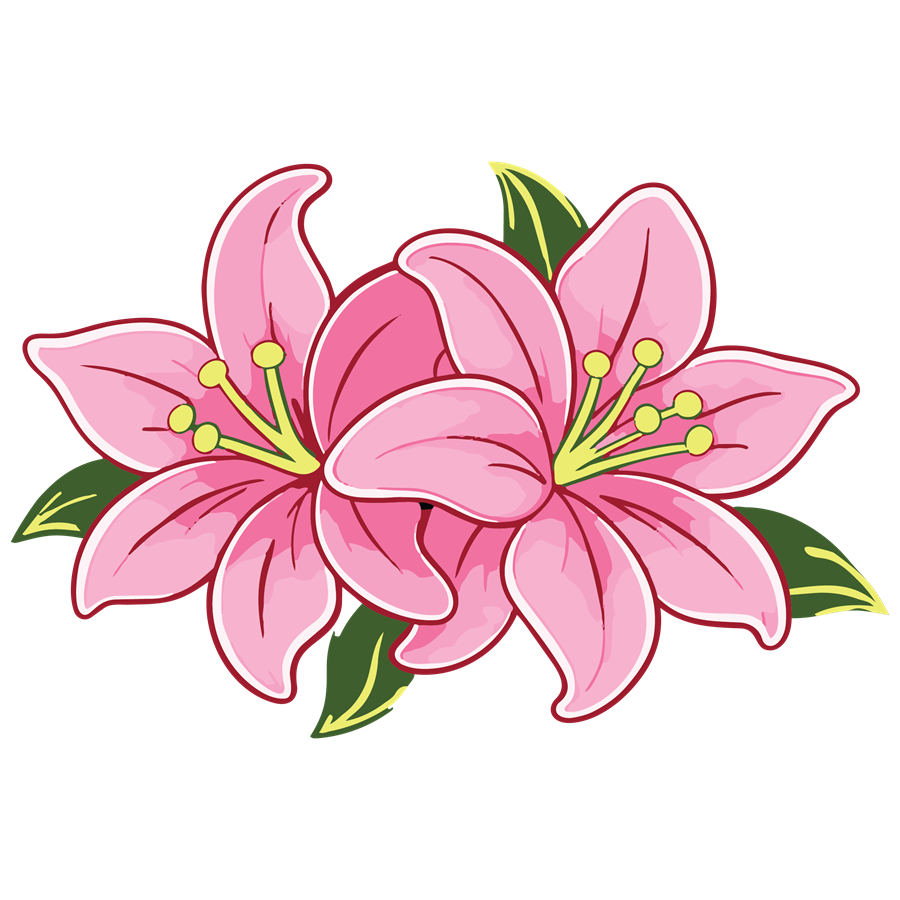 Pink gladiolus floral illustration